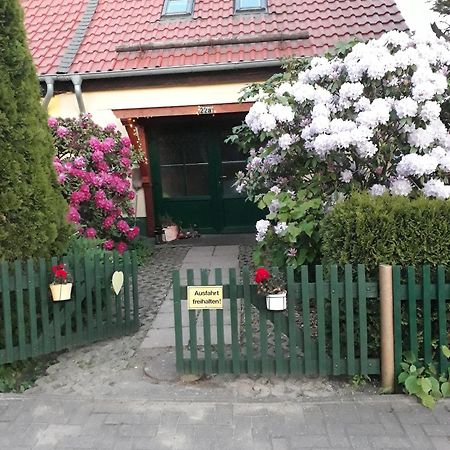 Harzglueck Villa Thale Ngoại thất bức ảnh